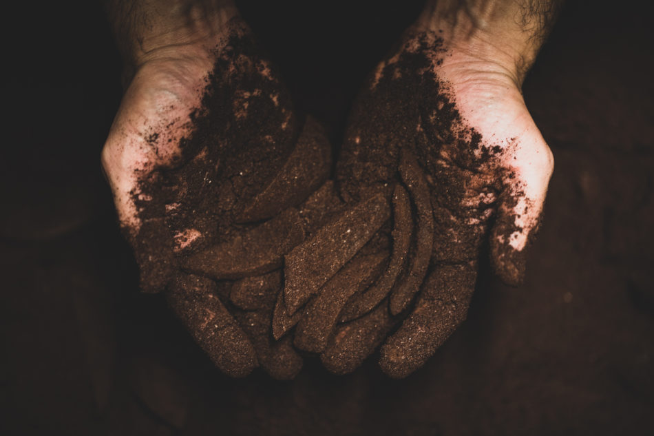 Mains poudre cacao, amandes